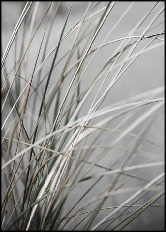 Mellow Grasses 1 | INDRAMMET BILLEDE Indrammet billede ART COPENHAGEN 30x40 Sort 