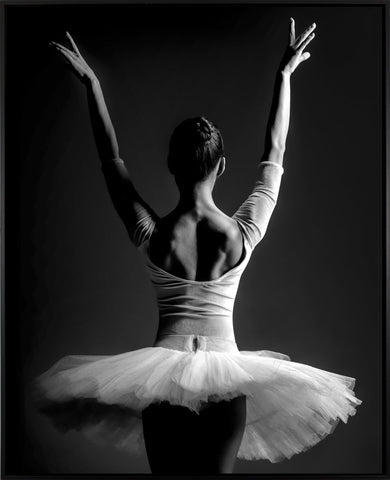 MI Ballet m | Canvasprint (SP)