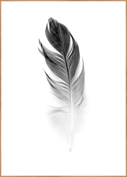 Soft Feather | INDRAMMET BILLEDE Indrammet billede ART COPENHAGEN 30x40 Egeramme 