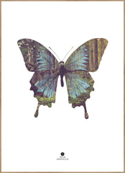 Butterfly | INDRAMMET BILLEDE