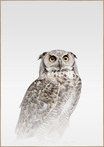 Misty Owl | INDRAMMET BILLEDE Indrammet billede ART COPENHAGEN   