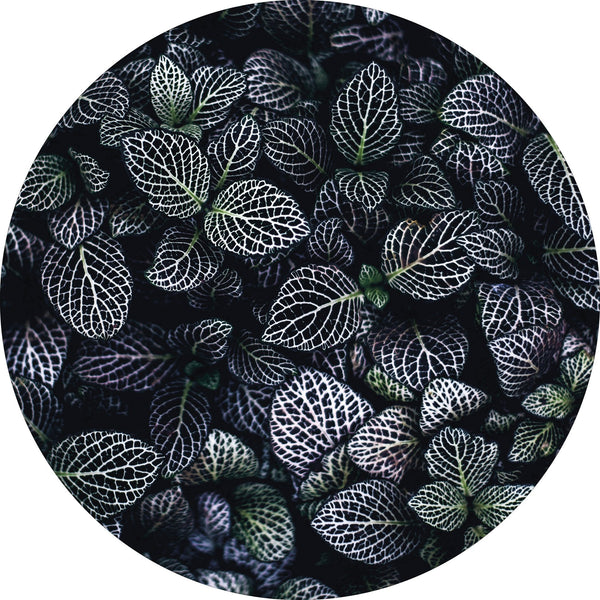 Moon Flowers | CIRCLE ART Circle Art ART COPENHAGEN   