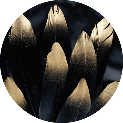 Golden feather | CIRCLE ART Circle Art ART COPENHAGEN   