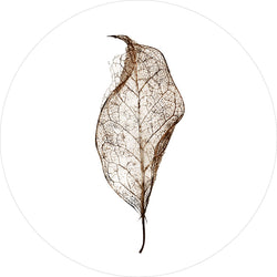 Leaf | CIRCLE ART