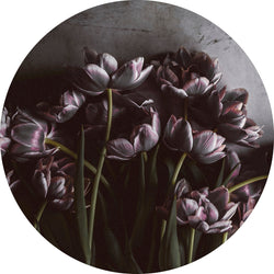 Dark tulips | CIRCLE ART Circle Art ART COPENHAGEN   