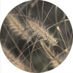 Circle / Mellow Grasses 2 / Ø 40 cm