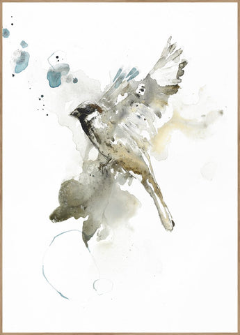 Bird 1 | INDRAMMET BILLEDE Indrammet billede ART COPENHAGEN 30x40 Egeramme 
