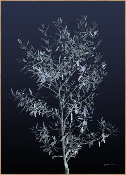 Black Olive | INDRAMMET BILLEDE Indrammet billede ART COPENHAGEN 30x40 Egeramme 