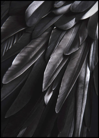 Black wing | INDRAMMET BILLEDE Indrammet billede ART COPENHAGEN 30x40 Sort 