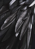 Black wing | PLAKAT Plakat ART COPENHAGEN   