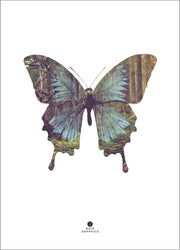 Butterfly | PLAKAT Plakat MALERIFABRIKKEN   