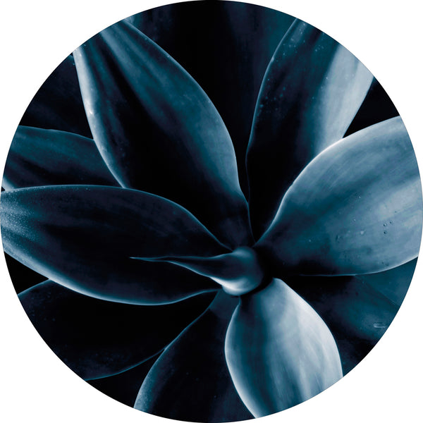 Dark plant 1 | CIRCLE ART Circle Art ART COPENHAGEN   