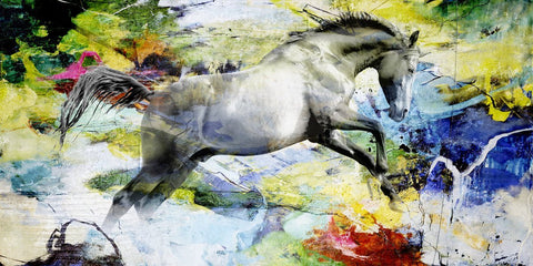 Colour Horse | Håndmalet Lærredstryk