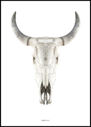 Cow skull | INDRAMMET BILLEDE