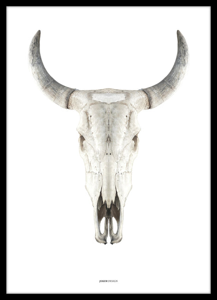 Cow skull | PLAKAT Outlet MALERIFABRIKKEN outlet   