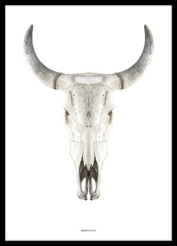 Cow skull | PLAKAT Outlet MALERIFABRIKKEN outlet   