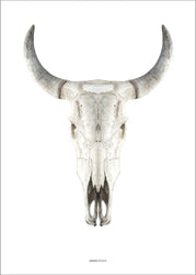 Cow Skull | PLAKAT Plakat MALERIFABRIKKEN   