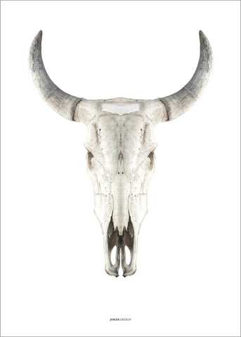 Cow Skull | PLAKAT Plakat MALERIFABRIKKEN   