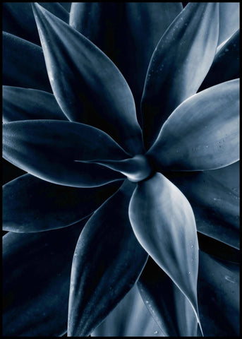 Dark plant 1 | INDRAMMET BILLEDE Indrammet billede ART COPENHAGEN   