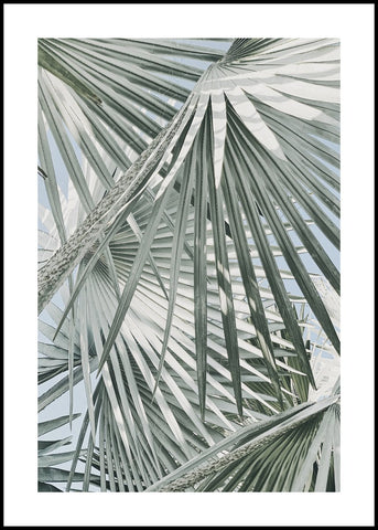 Daylight leaves | INDRAMMET BILLEDE Indrammet billede ART COPENHAGEN 30x40 Sort 