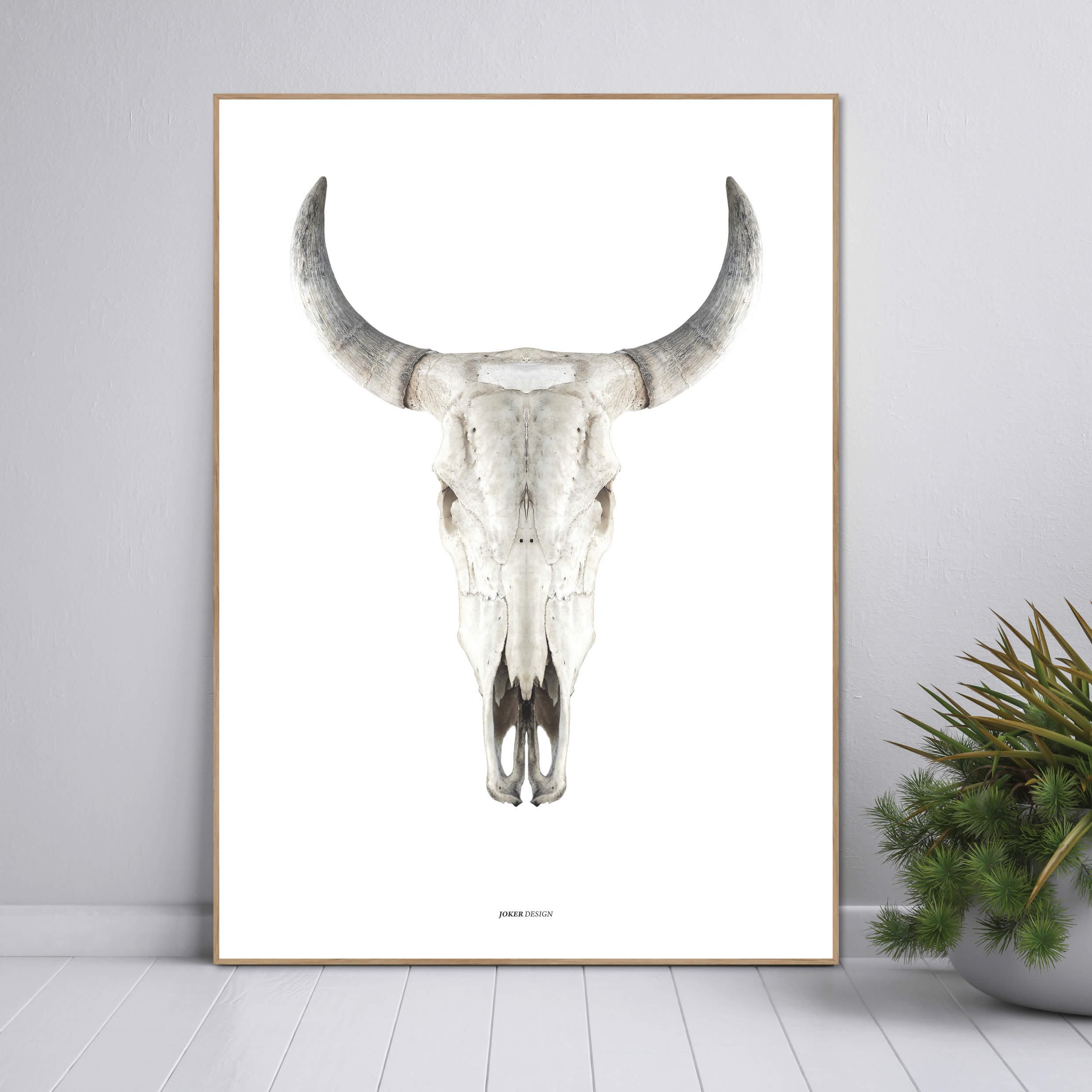 Cow skull | INDRAMMET BILLEDE Indrammet billede ART COPENHAGEN   