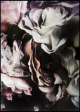 Flower magic 2 | INDRAMMET BILLEDE Indrammet billede ART COPENHAGEN 30x40 Sort 