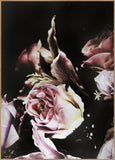 Flower magic 3 | INDRAMMET BILLEDE Indrammet billede ART COPENHAGEN 30x40 Egeramme 