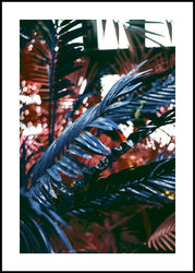 Funky jungle 2 | INDRAMMET BILLEDE Indrammet billede ART COPENHAGEN 30x40 Sort 