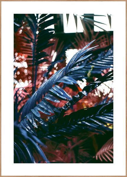 Funky jungle 2 | INDRAMMET BILLEDE Indrammet billede ART COPENHAGEN 30x40 Egeramme 