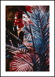 Funky jungle | INDRAMMET BILLEDE Indrammet billede ART COPENHAGEN 30x40 Sort 