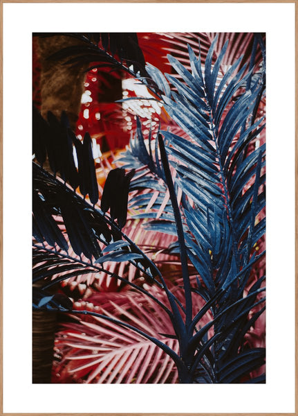 Funky jungle | INDRAMMET BILLEDE Indrammet billede ART COPENHAGEN 30x40 Egeramme 