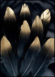 Golden feather | INDRAMMET BILLEDE