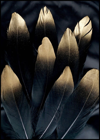 Golden feather | INDRAMMET BILLEDE Indrammet billede ART COPENHAGEN   