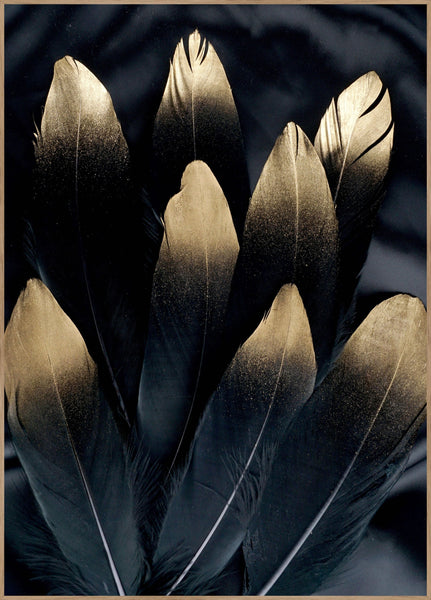 Golden feather | INDRAMMET BILLEDE Indrammet billede ART COPENHAGEN   
