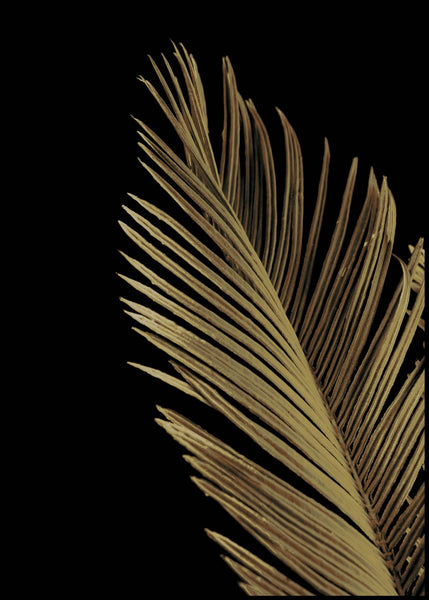 Golden palm 1 | INDRAMMET BILLEDE