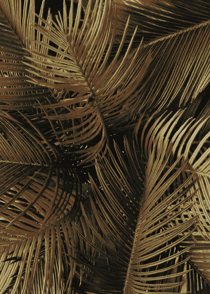 Golden palm 2 | INDRAMMET BILLEDE Indrammet billede ART COPENHAGEN   
