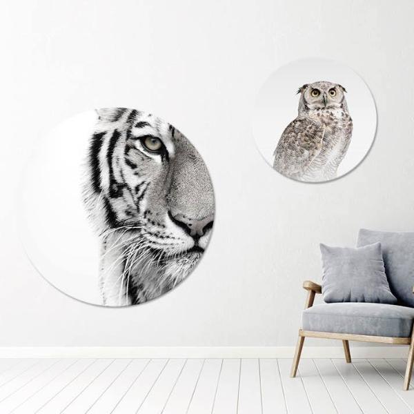 White tiger | CIRCLE ART Circle Art ART COPENHAGEN   