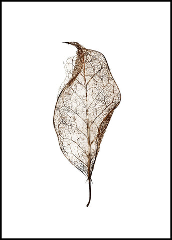 Leaf | INDRAMMET BILLEDE Indrammet billede ART COPENHAGEN   