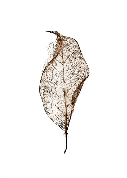Leaf | PLAKAT Plakat MALERIFABRIKKEN   