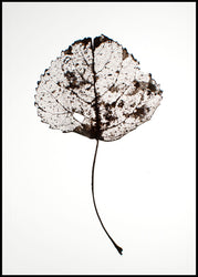 Leaf rustic | INDRAMMET BILLEDE