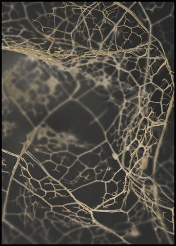 Leaf skeleton dark | INDRAMMET BILLEDE Indrammet billede ART COPENHAGEN   