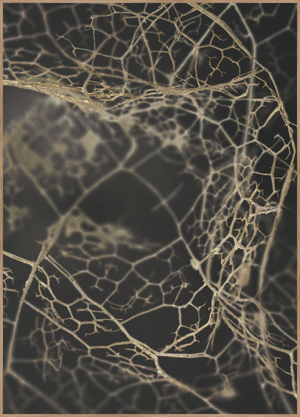 Leaf skeleton dark | INDRAMMET BILLEDE Indrammet billede ART COPENHAGEN   