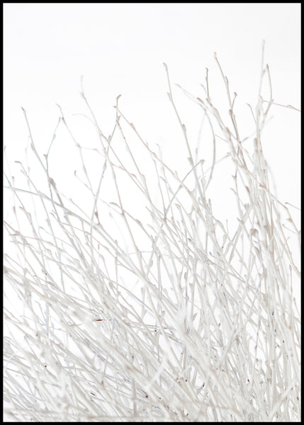 Light and white | INDRAMMET BILLEDE Indrammet billede ART COPENHAGEN 30x40 Sort 