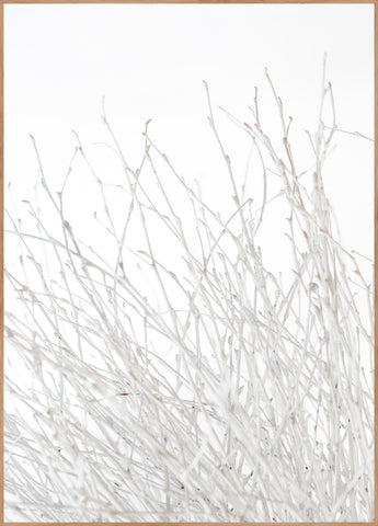 Light and white | INDRAMMET BILLEDE Indrammet billede ART COPENHAGEN 30x40 Egeramme 