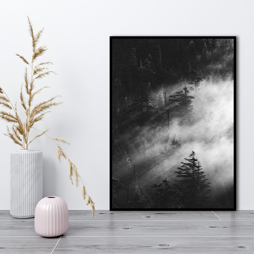 Misty pine woods | PLAKAT