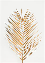 Palm Leaf Gold | PLAKAT Plakat MALERIFABRIKKEN   