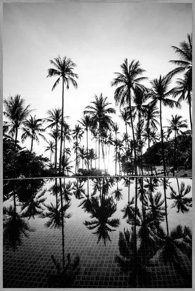 Palm Trees | INDRAMMET BILLEDE Indrammet billede ART COPENHAGEN 30x40 Egeramme 
