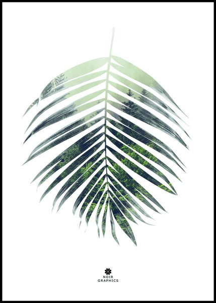 Palm leaf | INDRAMMET BILLEDE