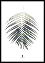 Palm leaf | PLAKAT Outlet MALERIFABRIKKEN outlet   