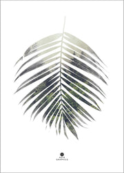Palm Leaf | PLAKAT Plakat MALERIFABRIKKEN   